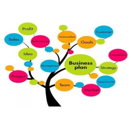 EBOOK - CREARE UN BUSINESS PLAN , LIBRO DIGITALE PDF  CONSIGLI E TECNICHE