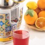 Ariete 413 Spremiagrumi Positano Elettrico con Leva 2 Coni per Frutti Grandi e Piccoli Spremitura Professionale Corpo in Metallo